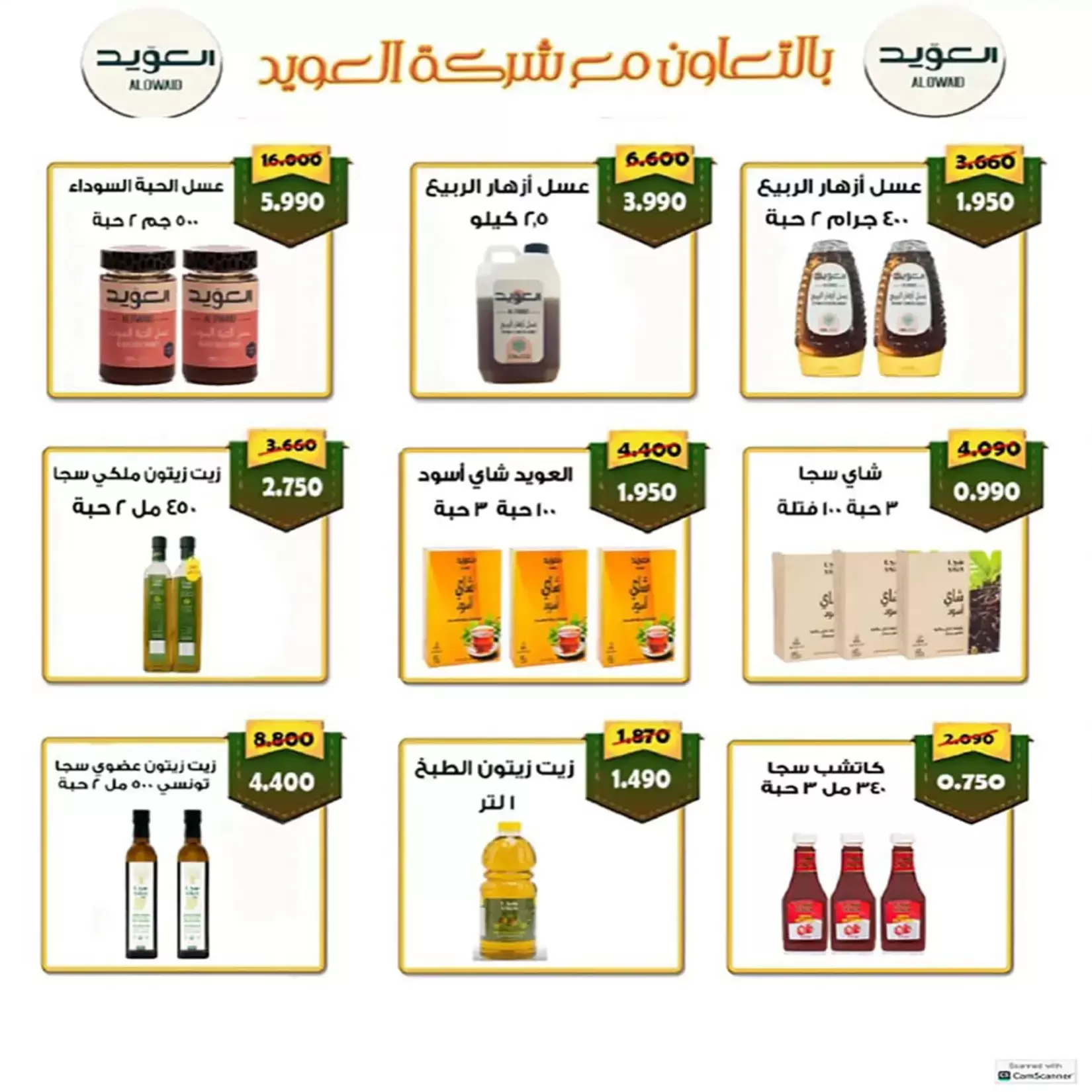 صفحة 13