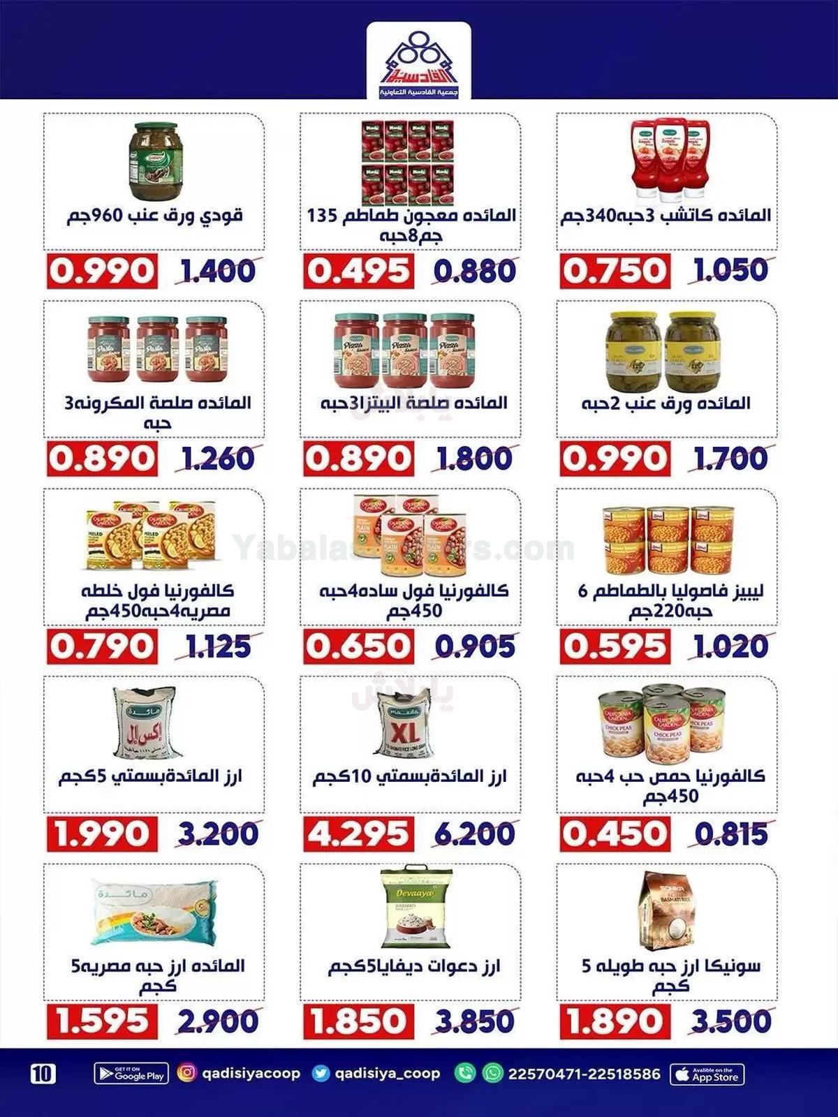 صفحة 11