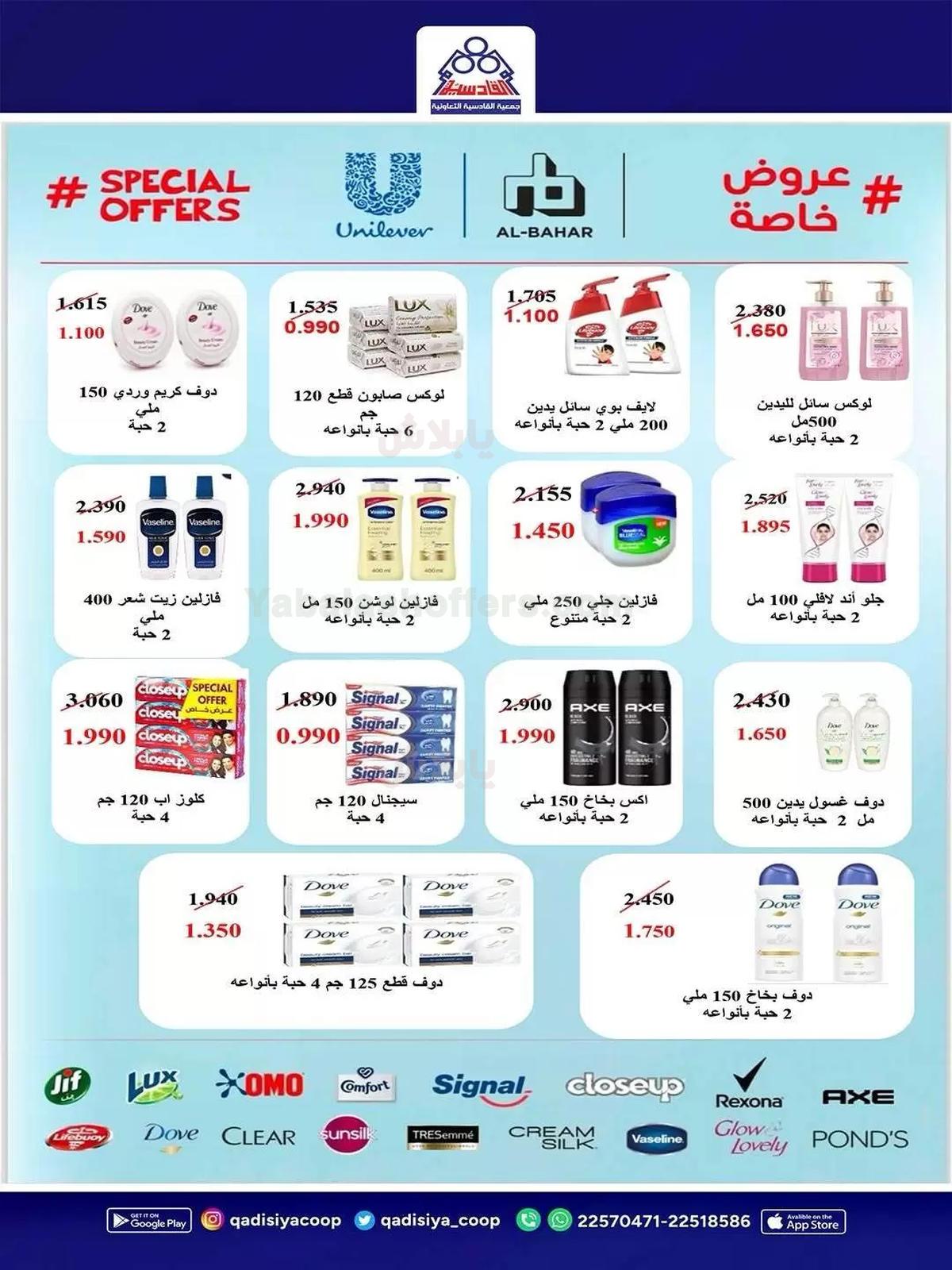 صفحة 17
