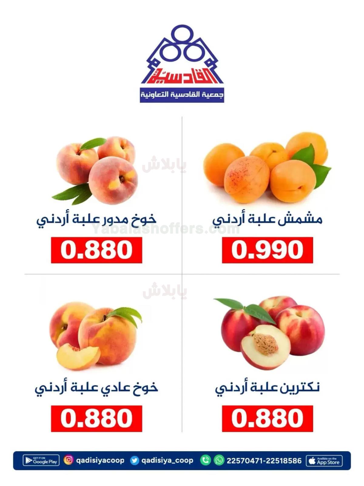 صفحة 2
