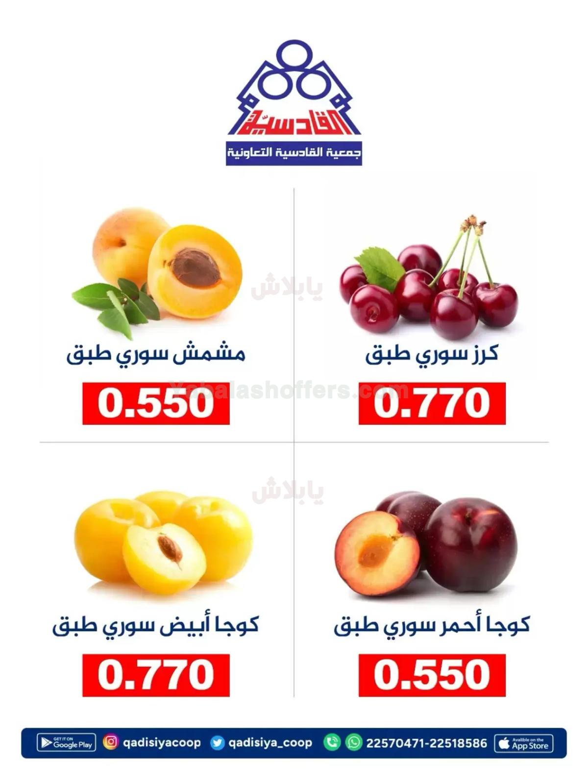 صفحة 3