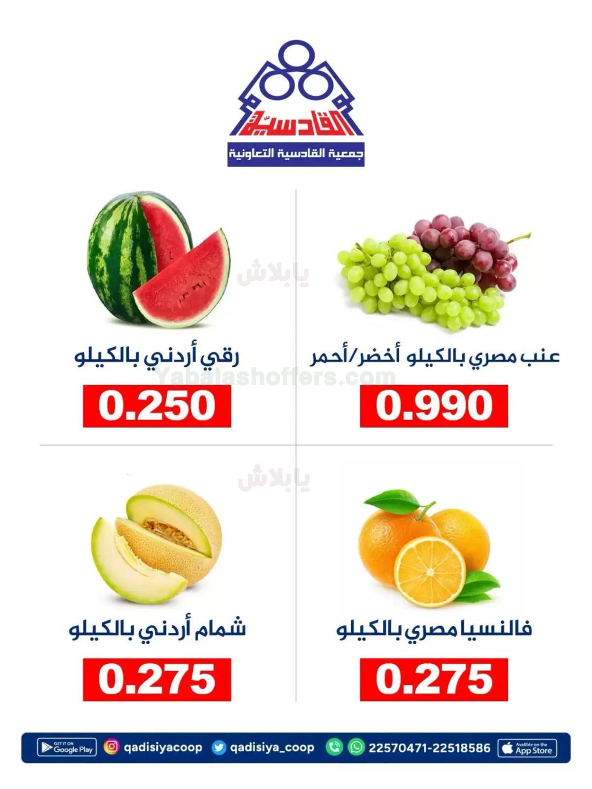 صفحة 4