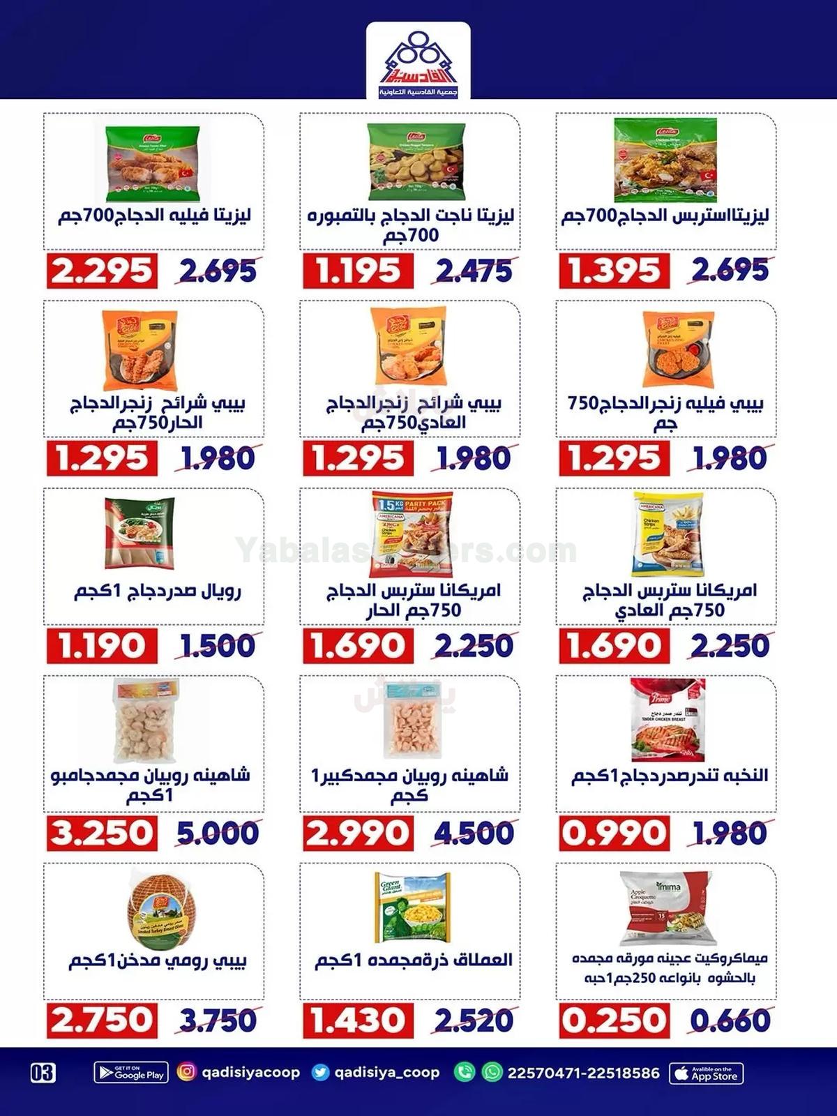 صفحة 4