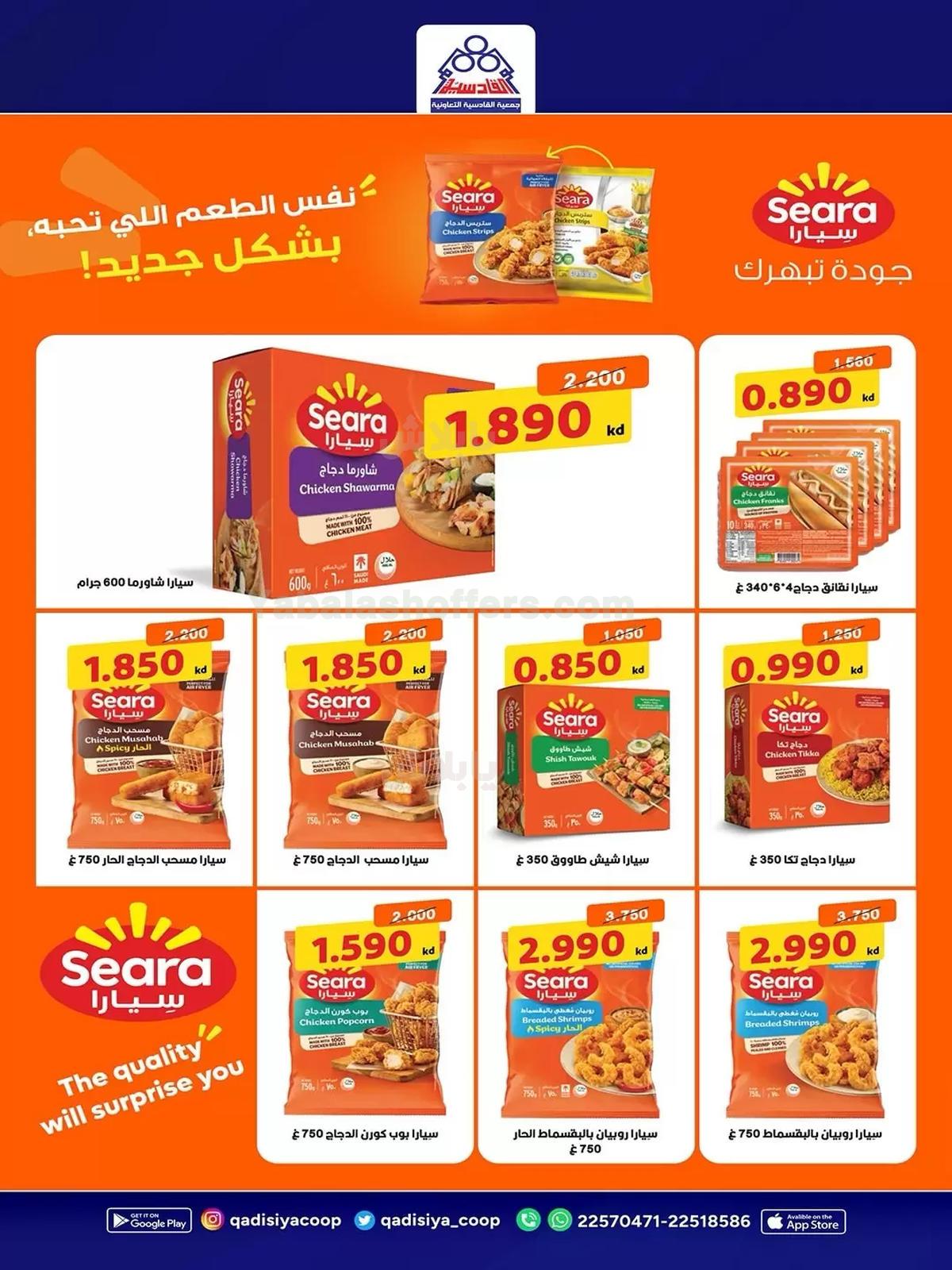 صفحة 14