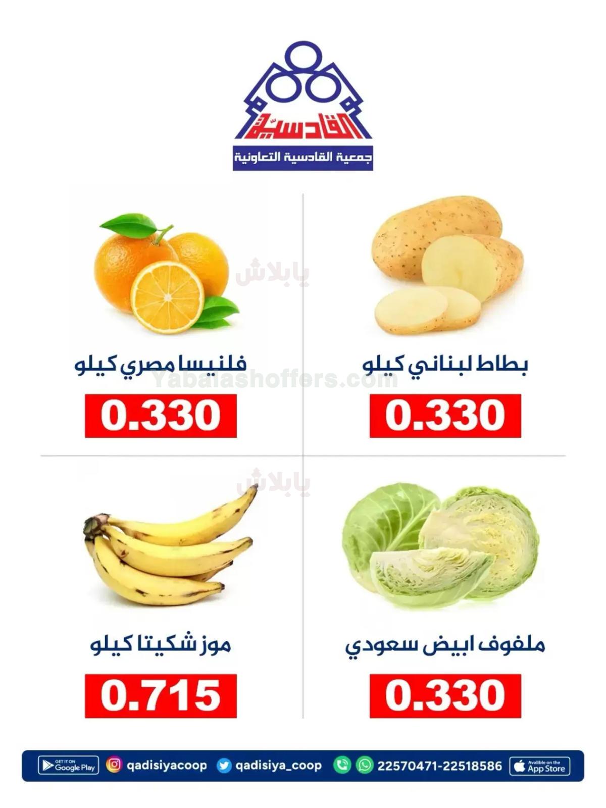 صفحة 2