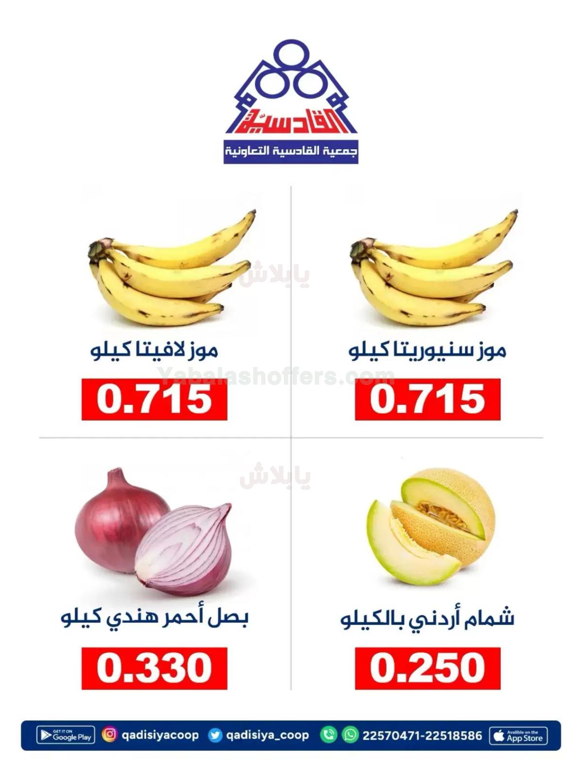 صفحة 3
