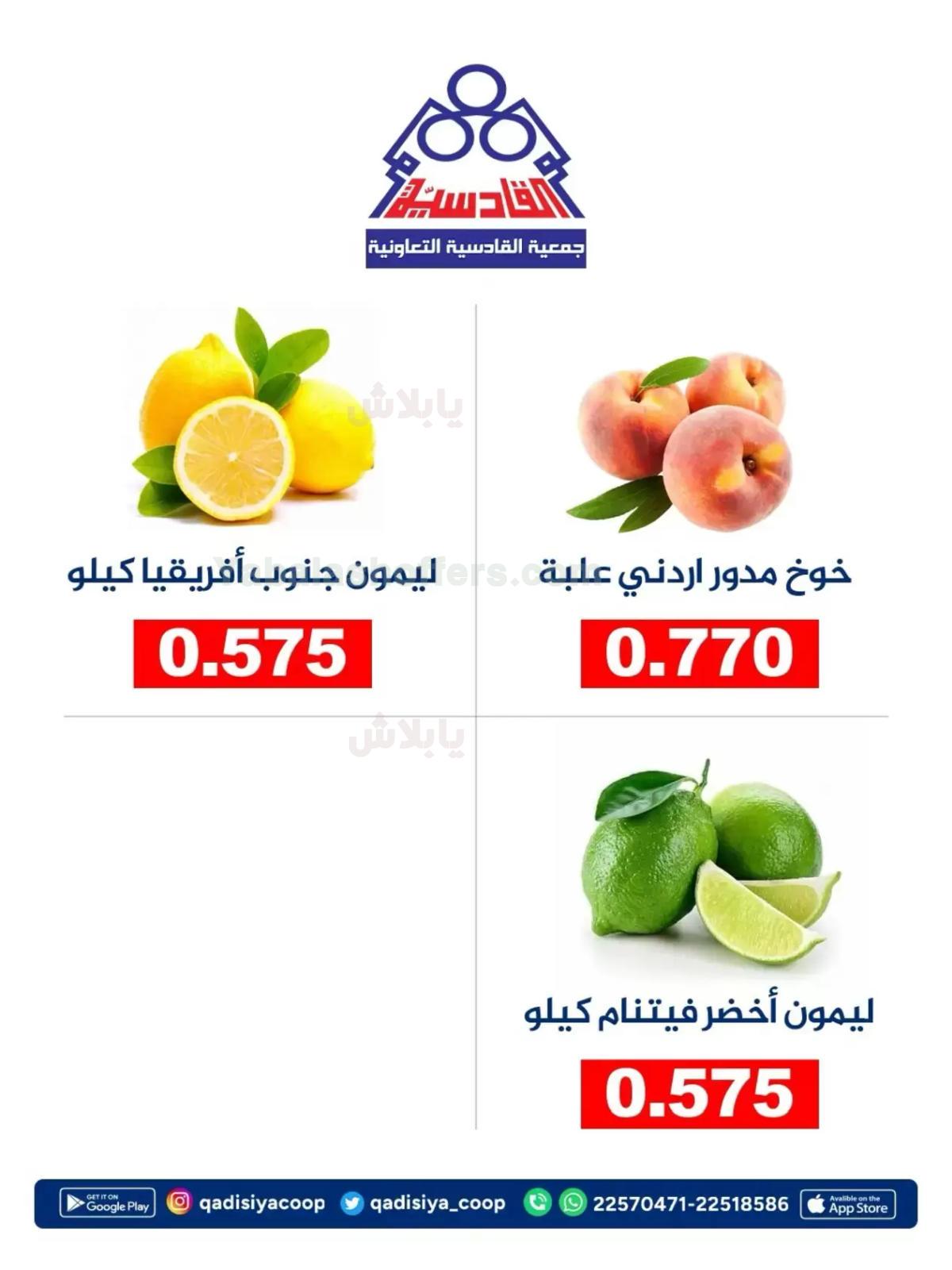 صفحة 5