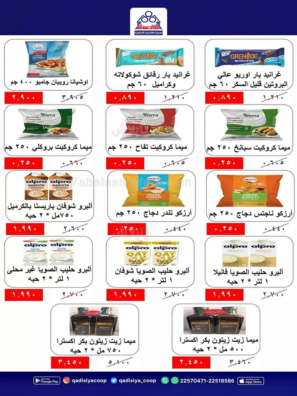 صفحة 21