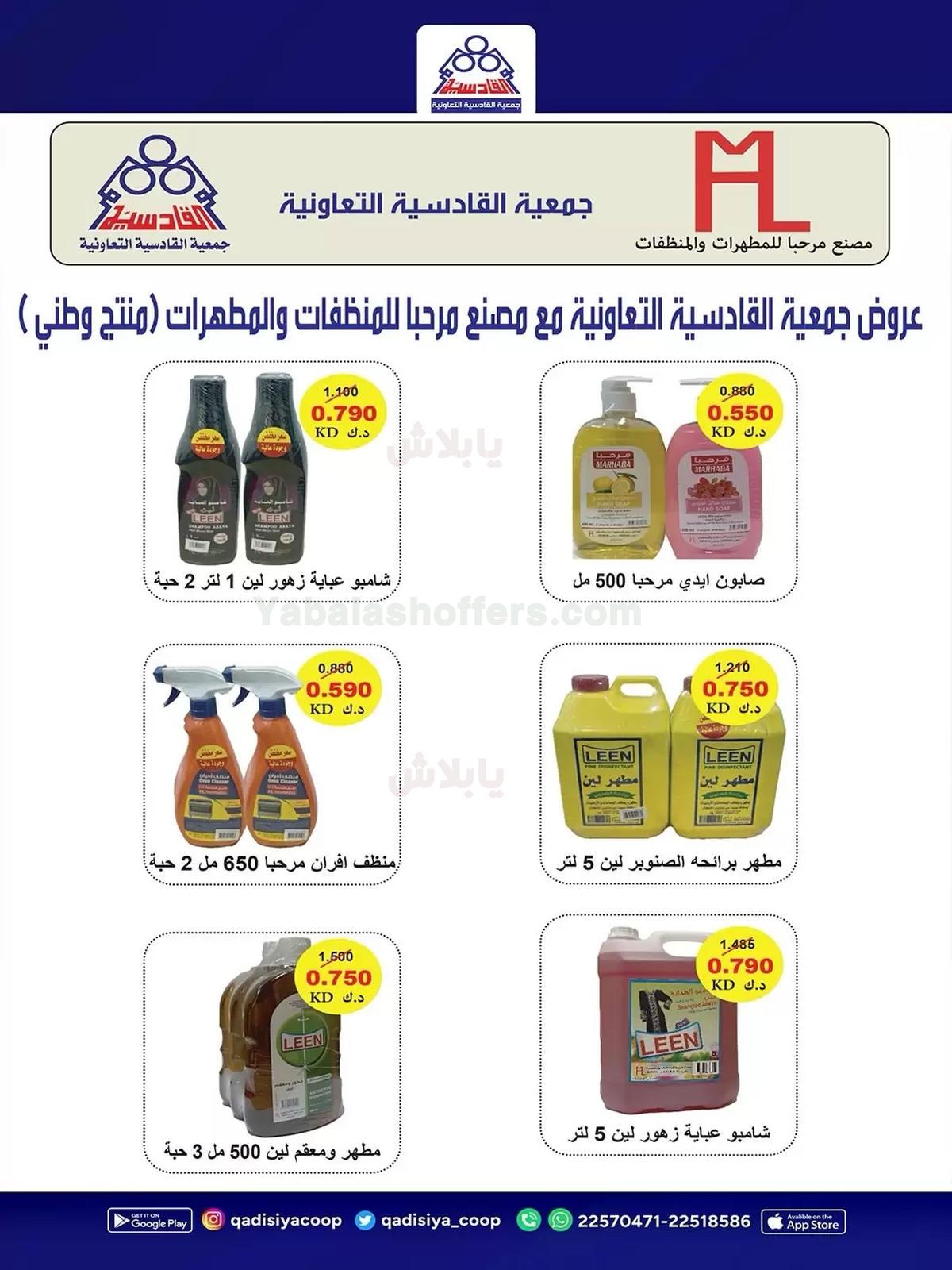 صفحة 30