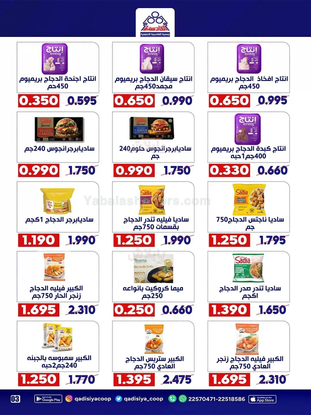صفحة 4