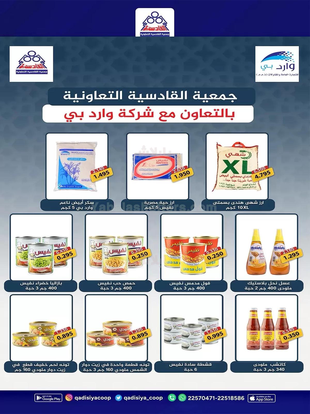 صفحة 22