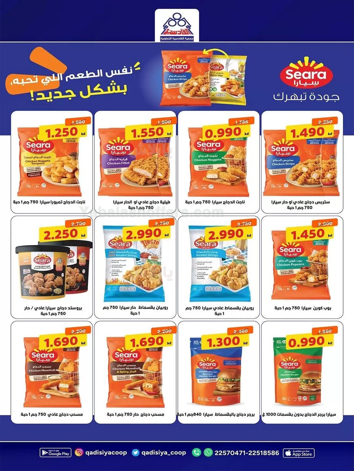 صفحة 14