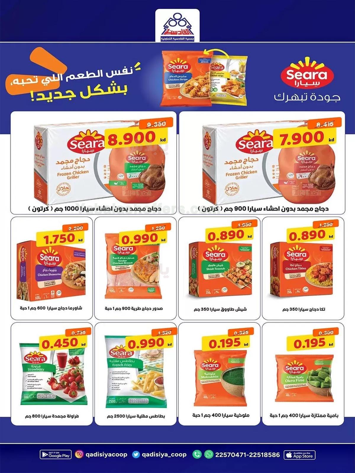 صفحة 15