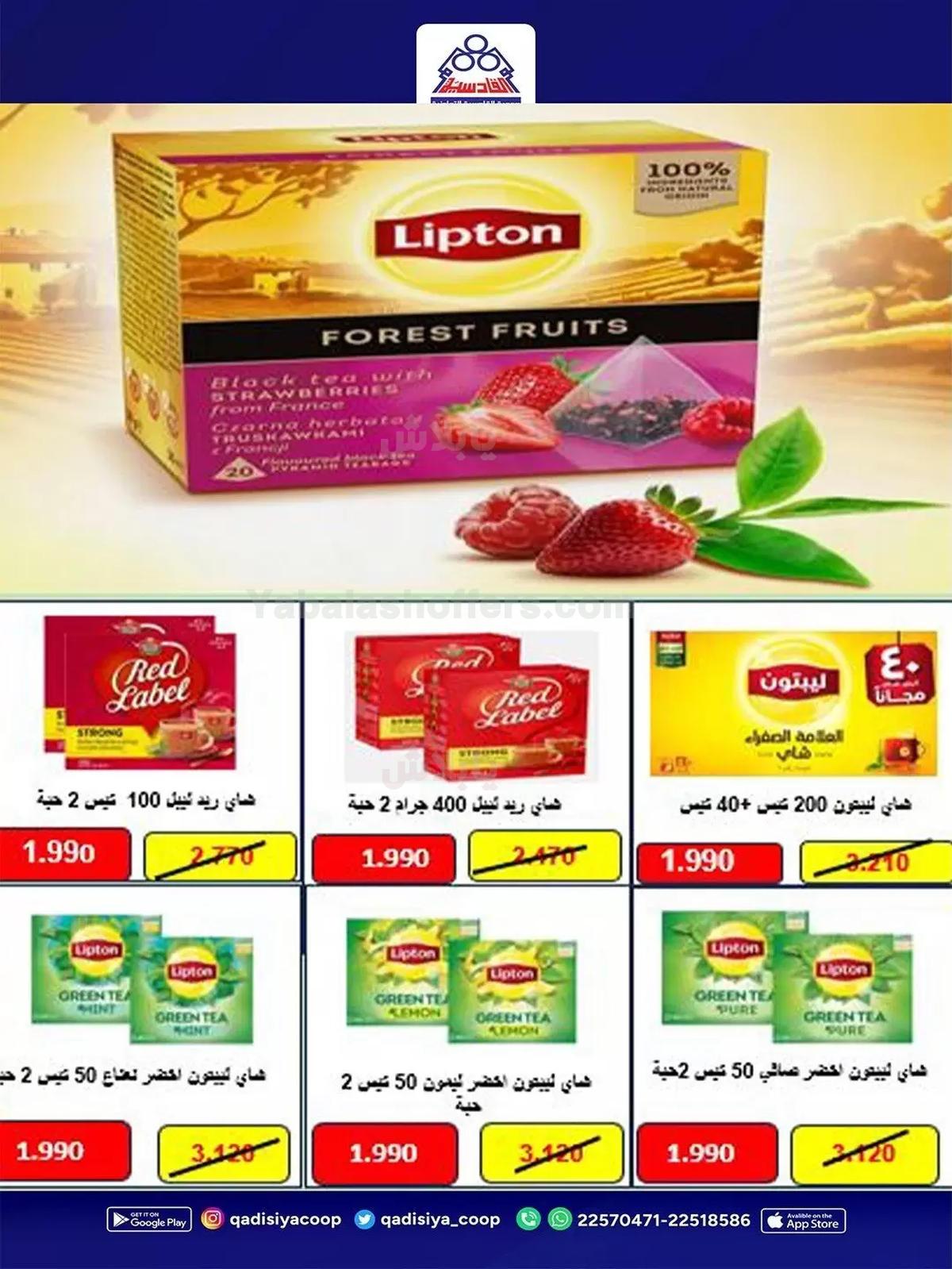 صفحة 22