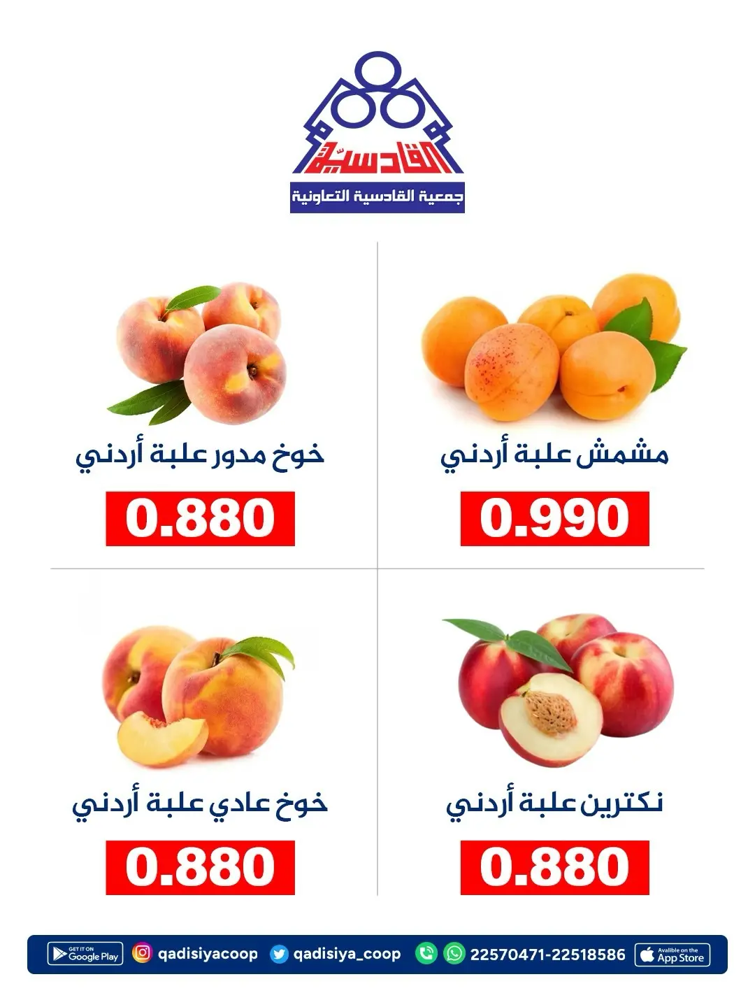 صفحة 2