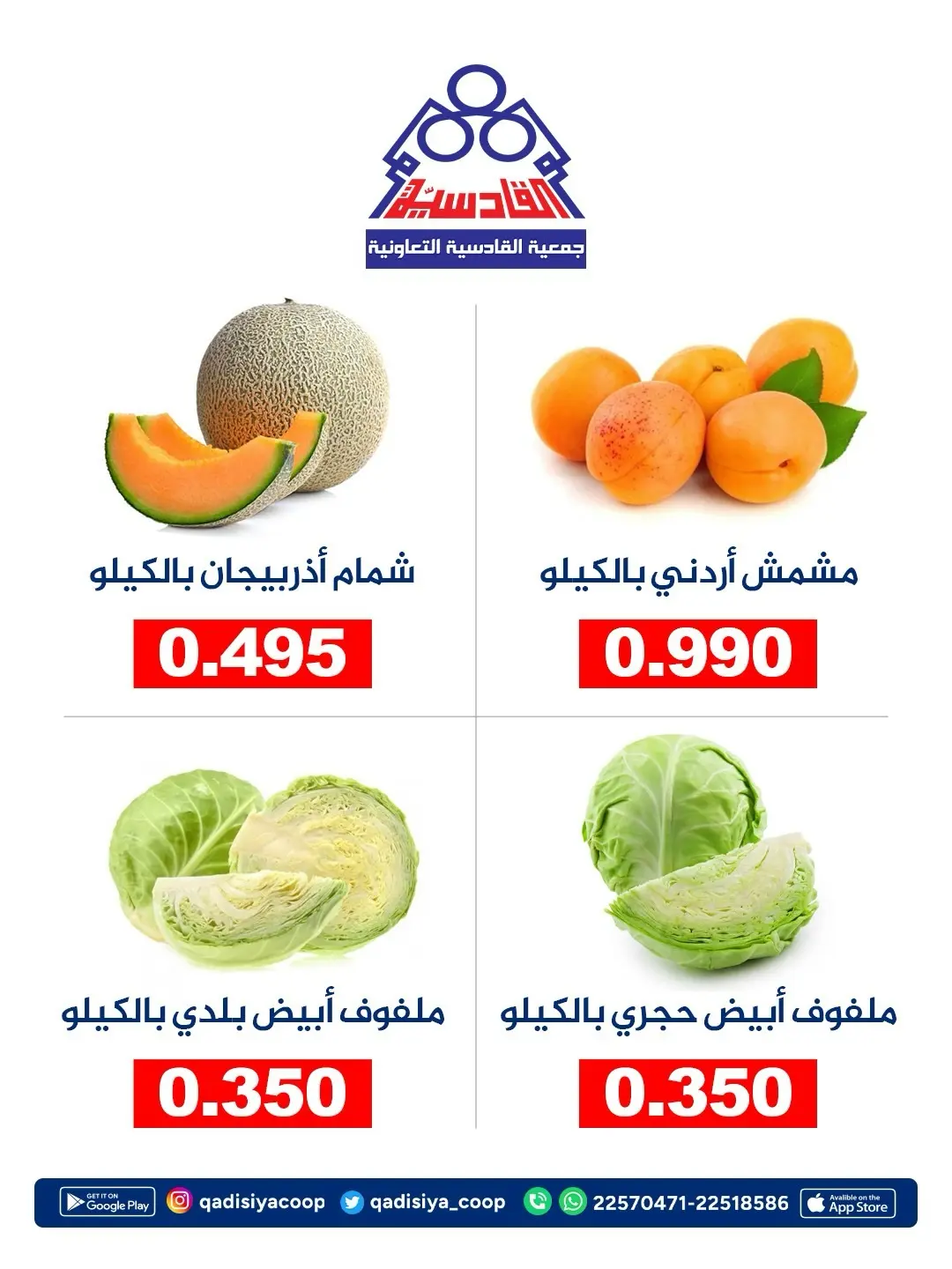 صفحة 6