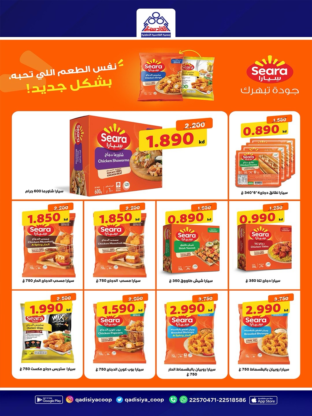 صفحة 19