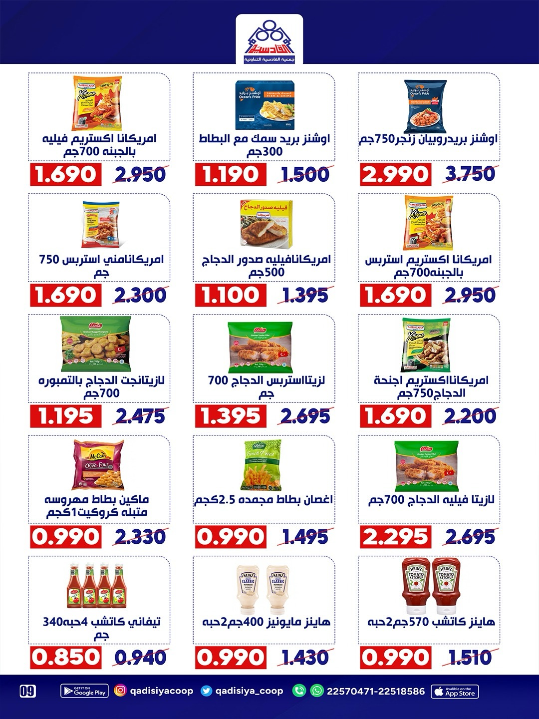 صفحة 22
