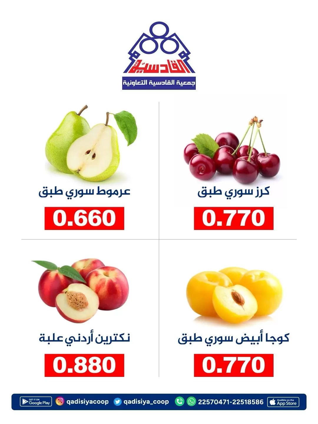 صفحة 2