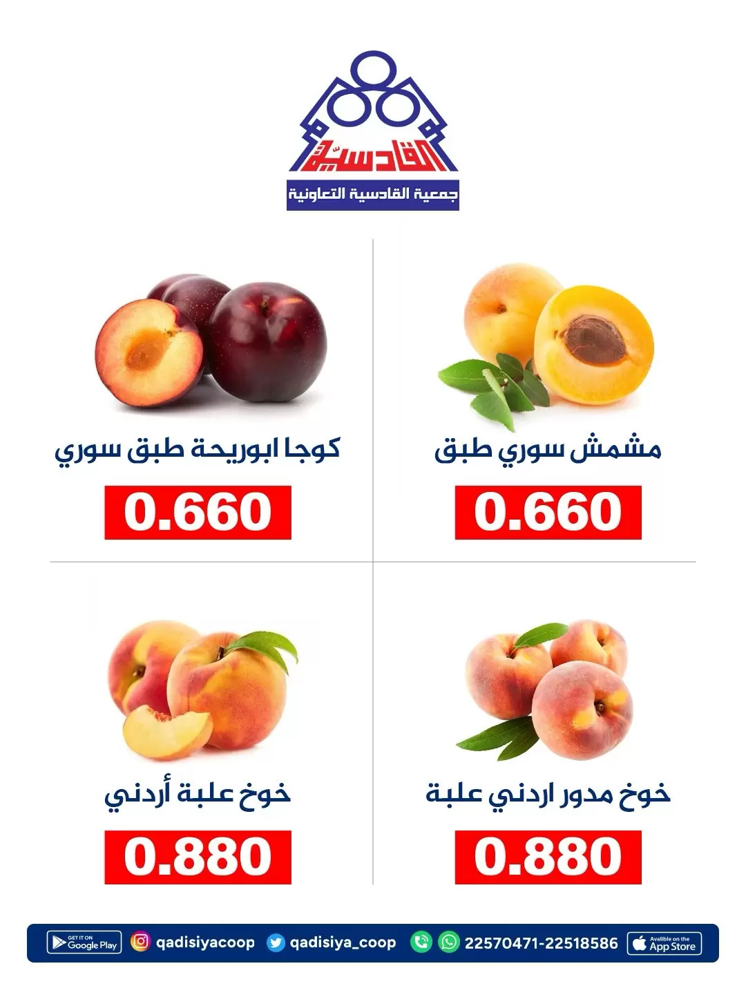 صفحة 3