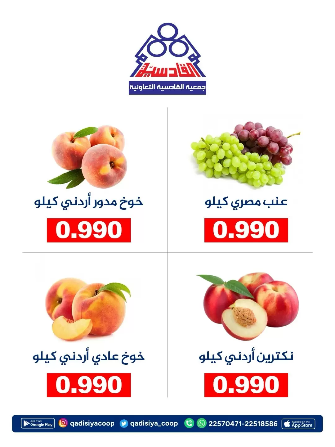صفحة 7