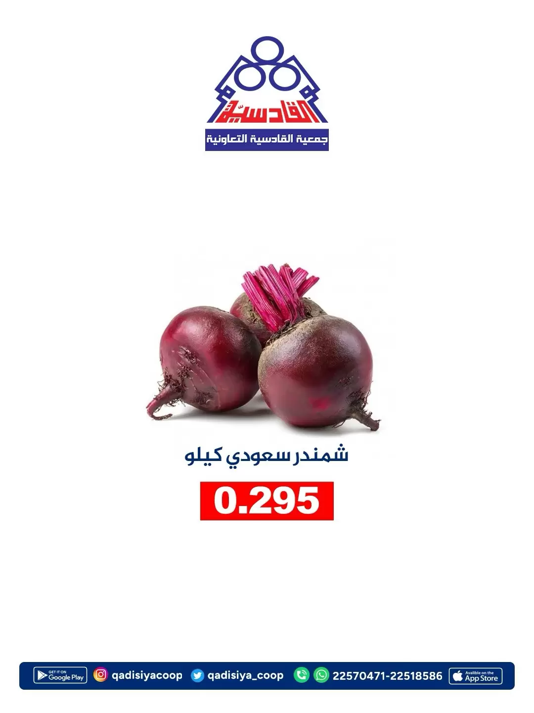 صفحة 8
