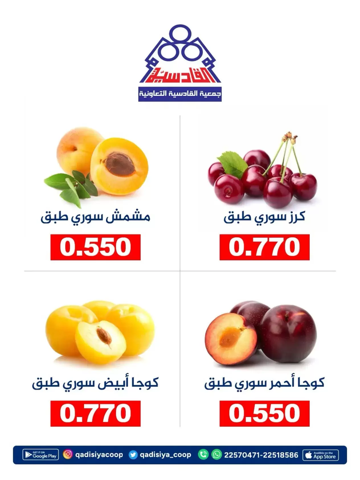 صفحة 3