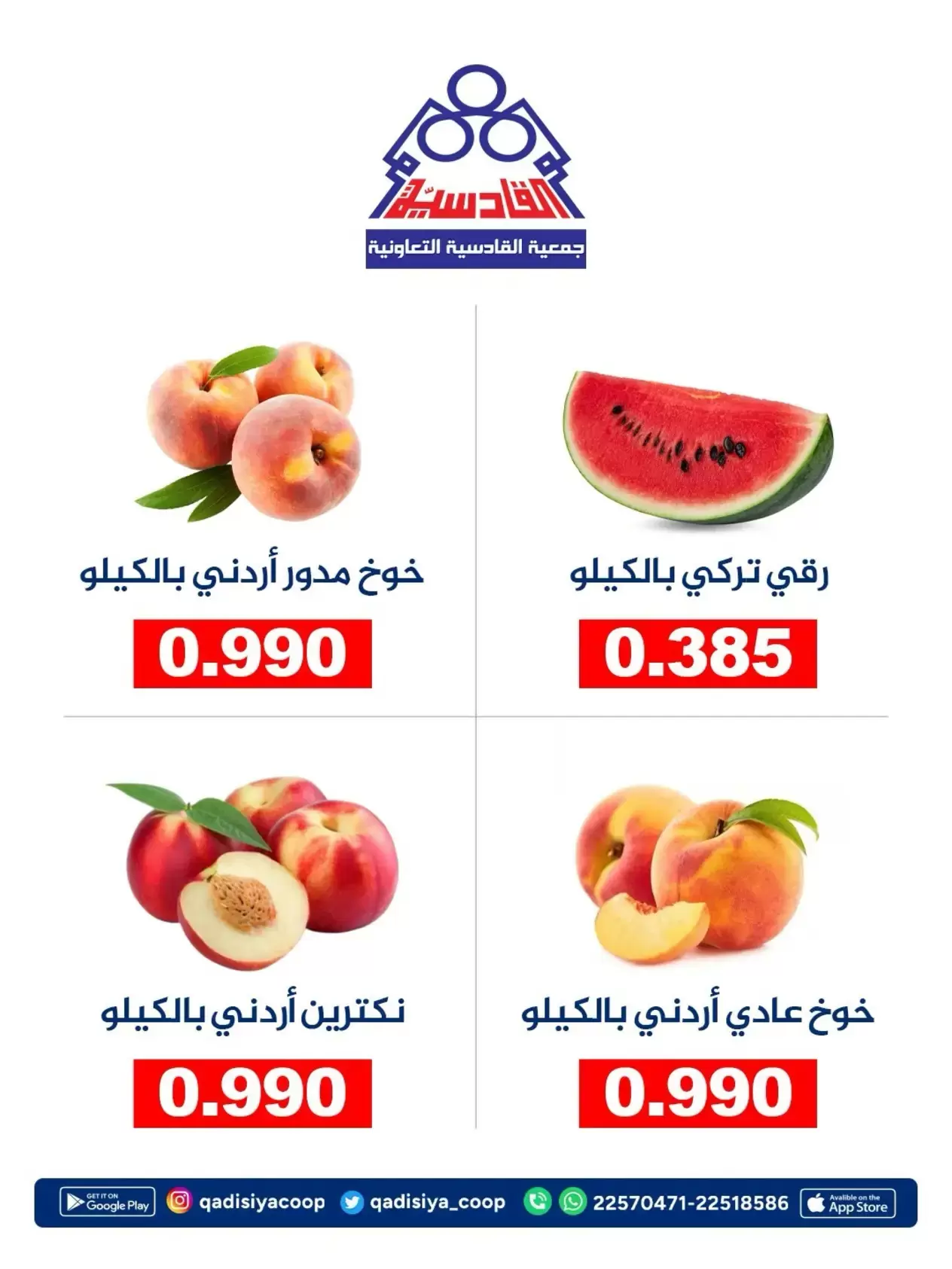 صفحة 5