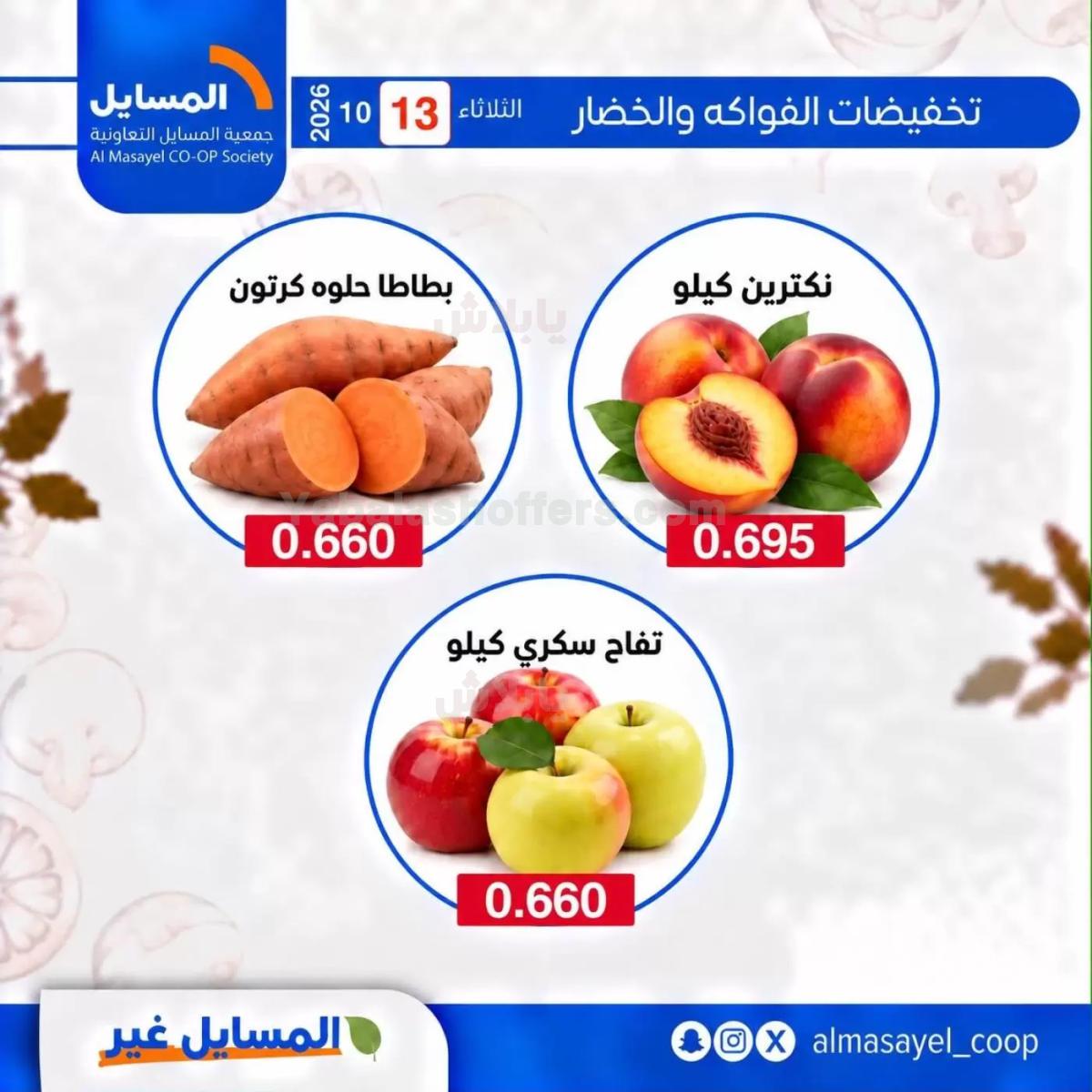 صفحة 10