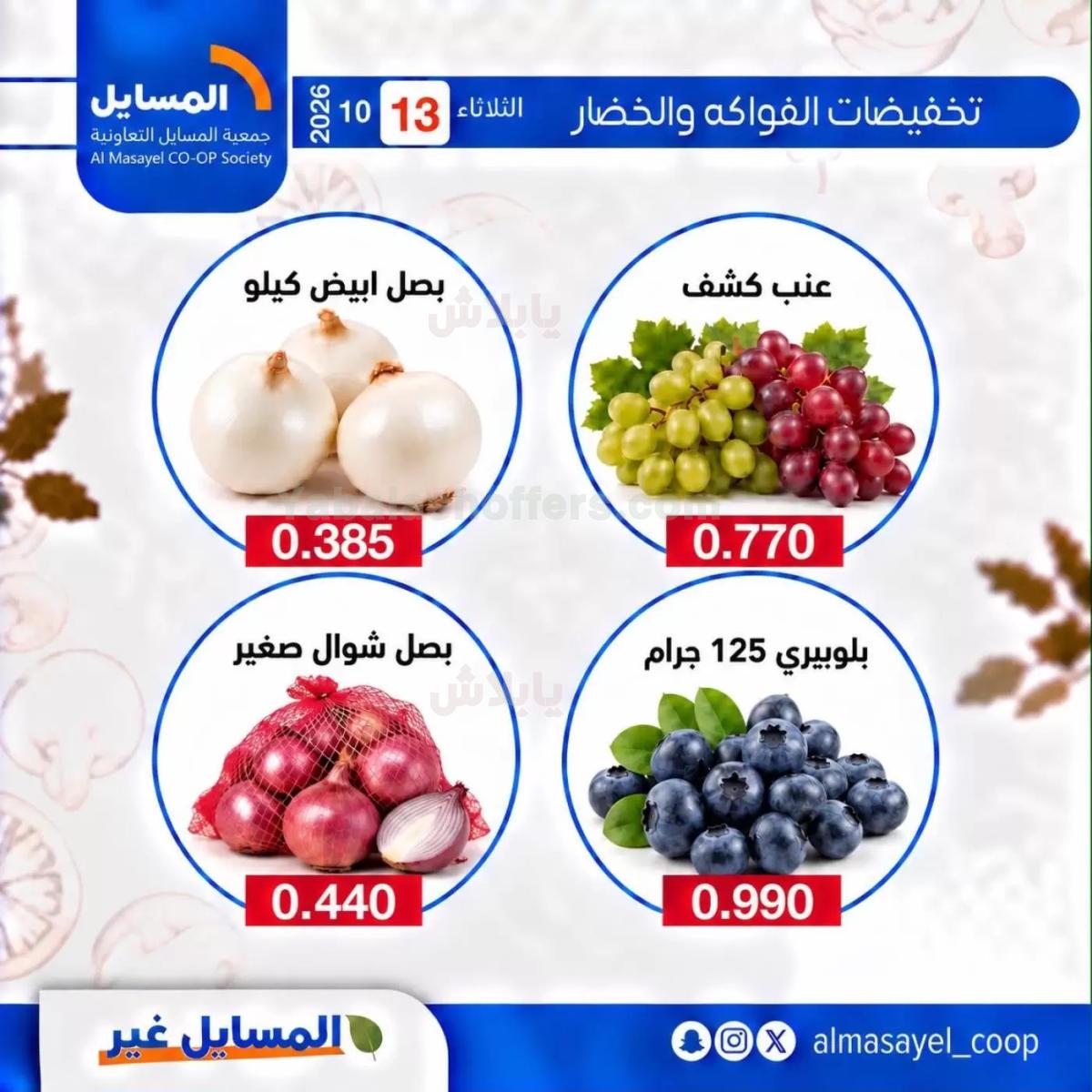 صفحة 11