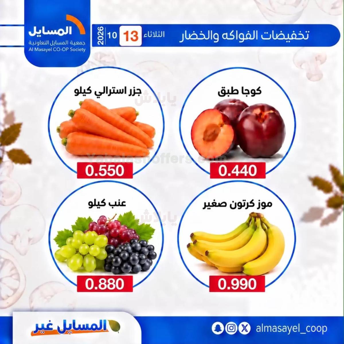 صفحة 13