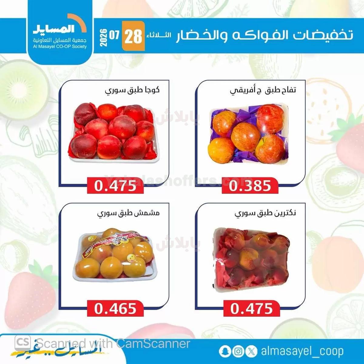 صفحة 13