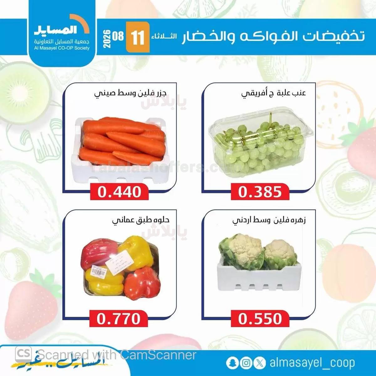 صفحة 11