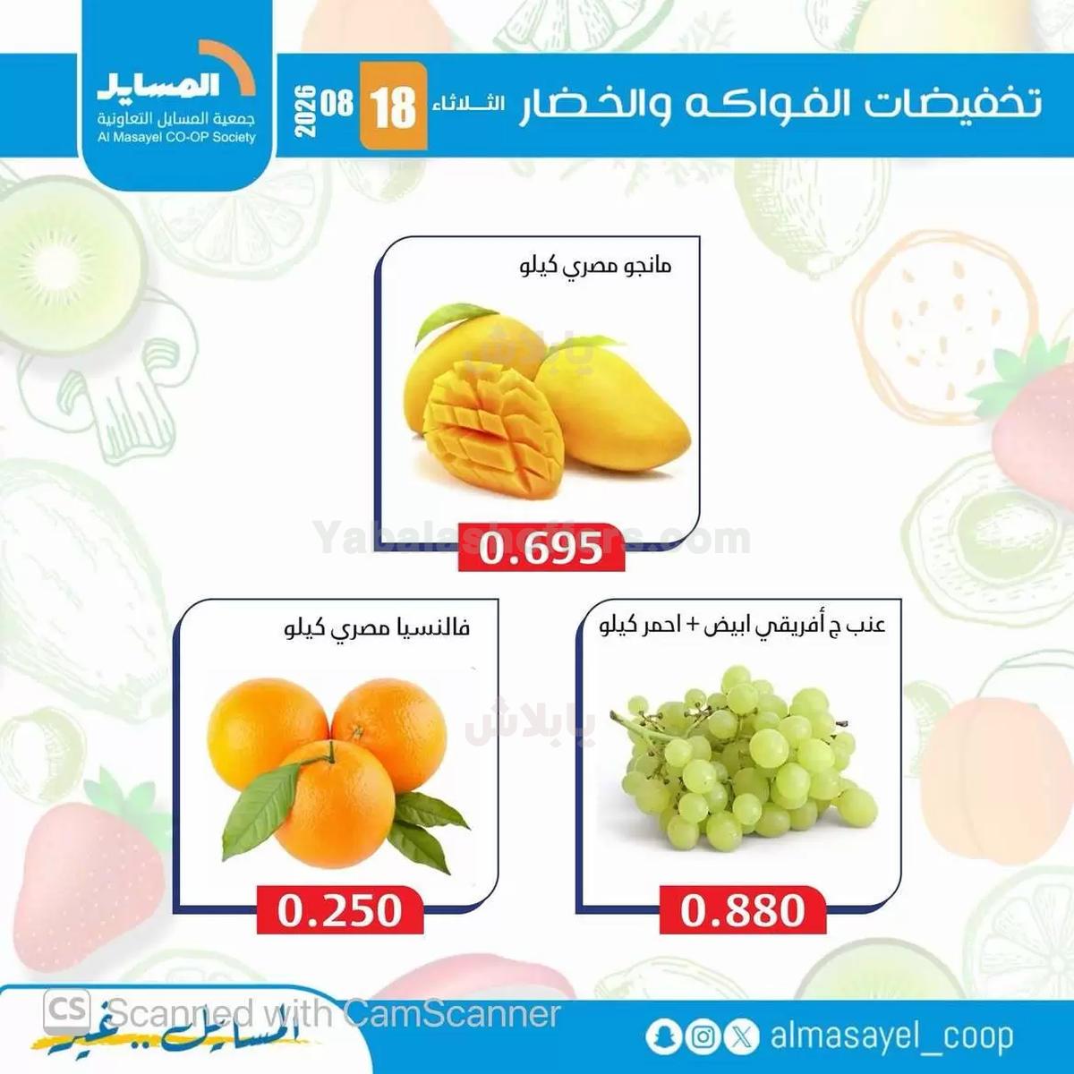 صفحة 4