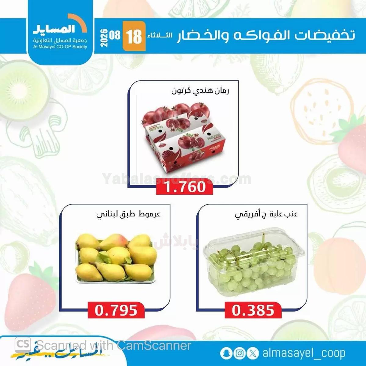 صفحة 11