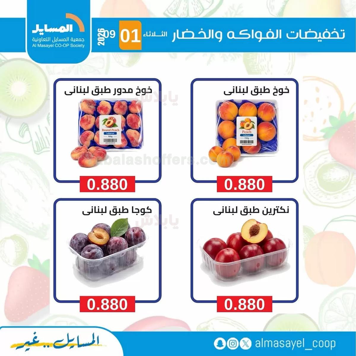 صفحة 8