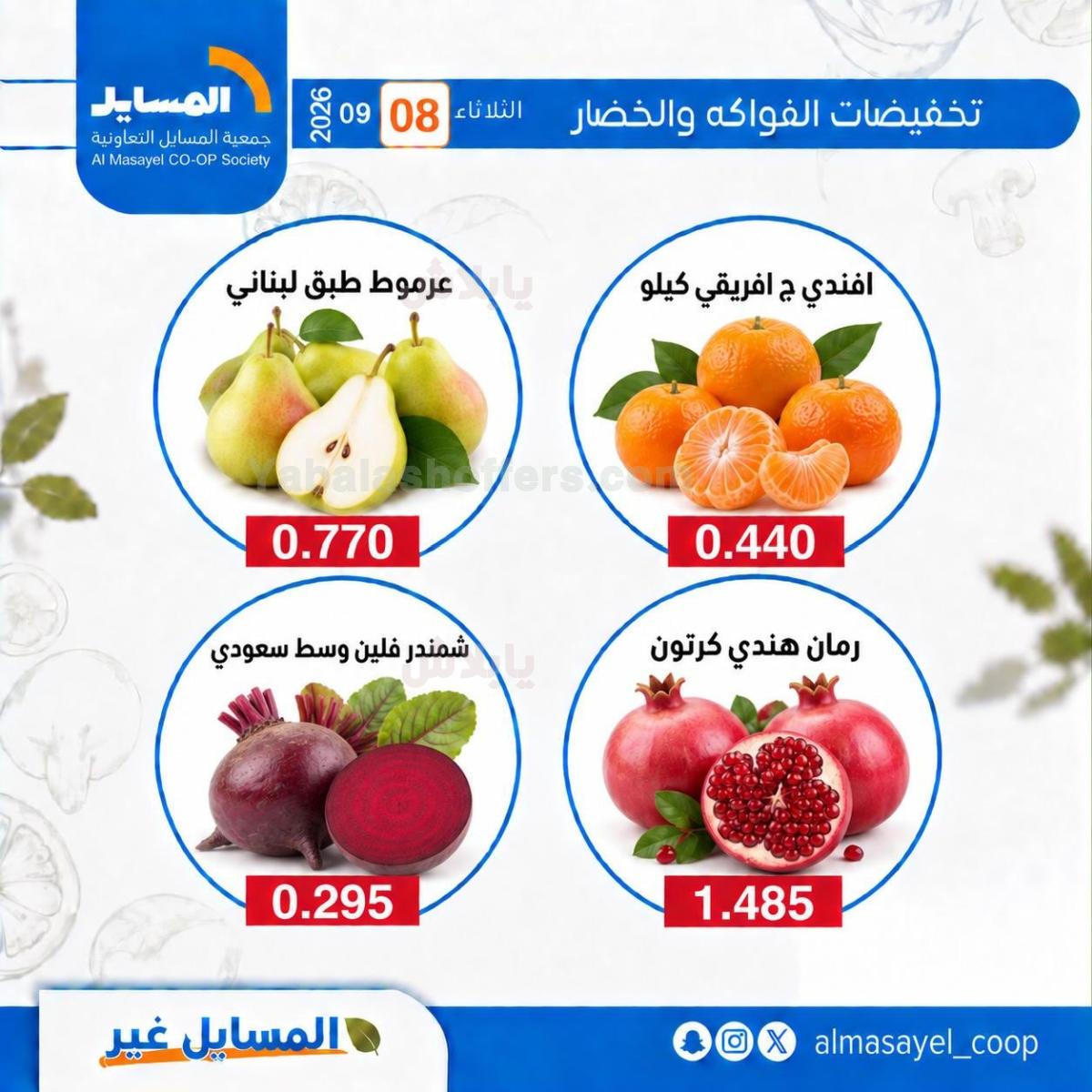 صفحة 3