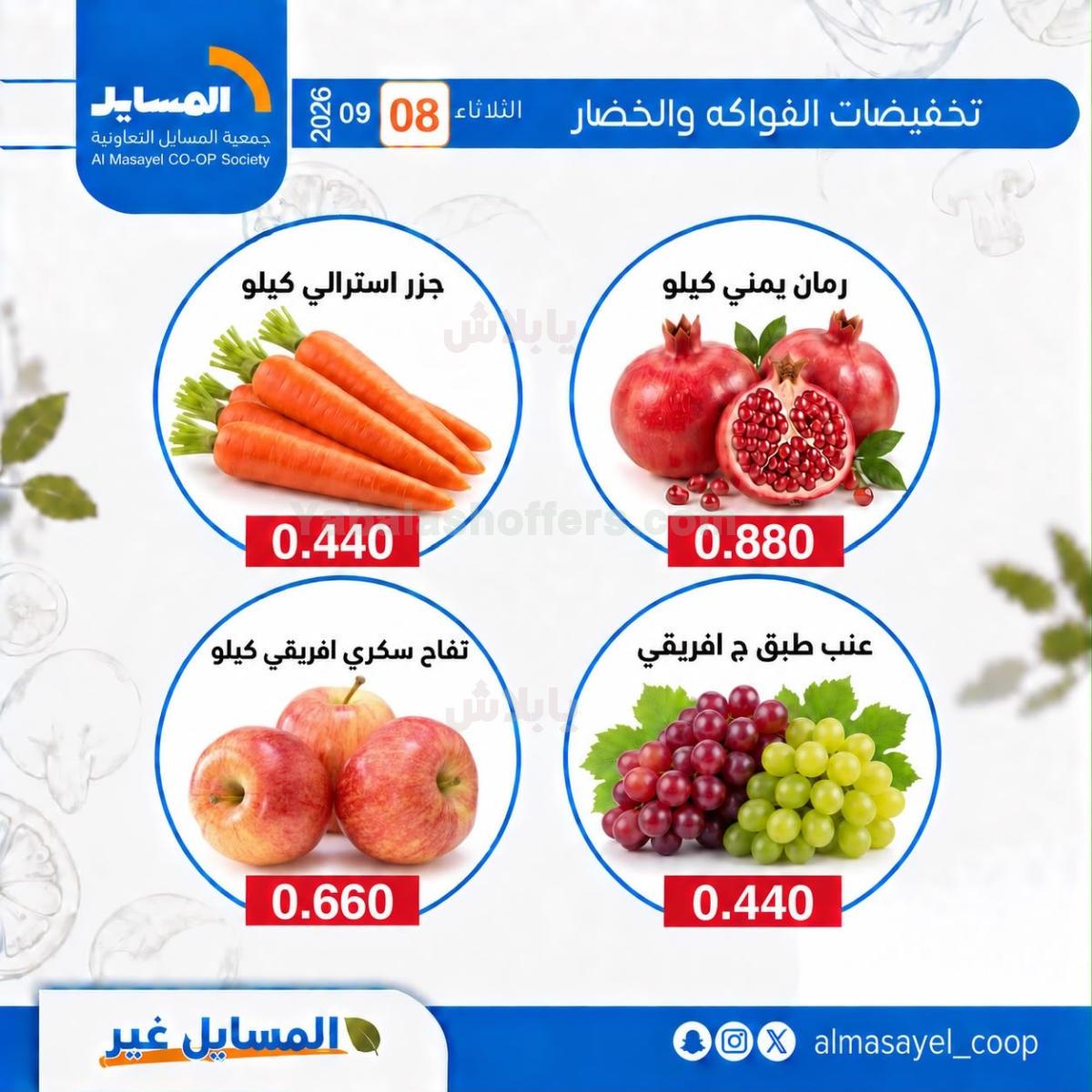 صفحة 4