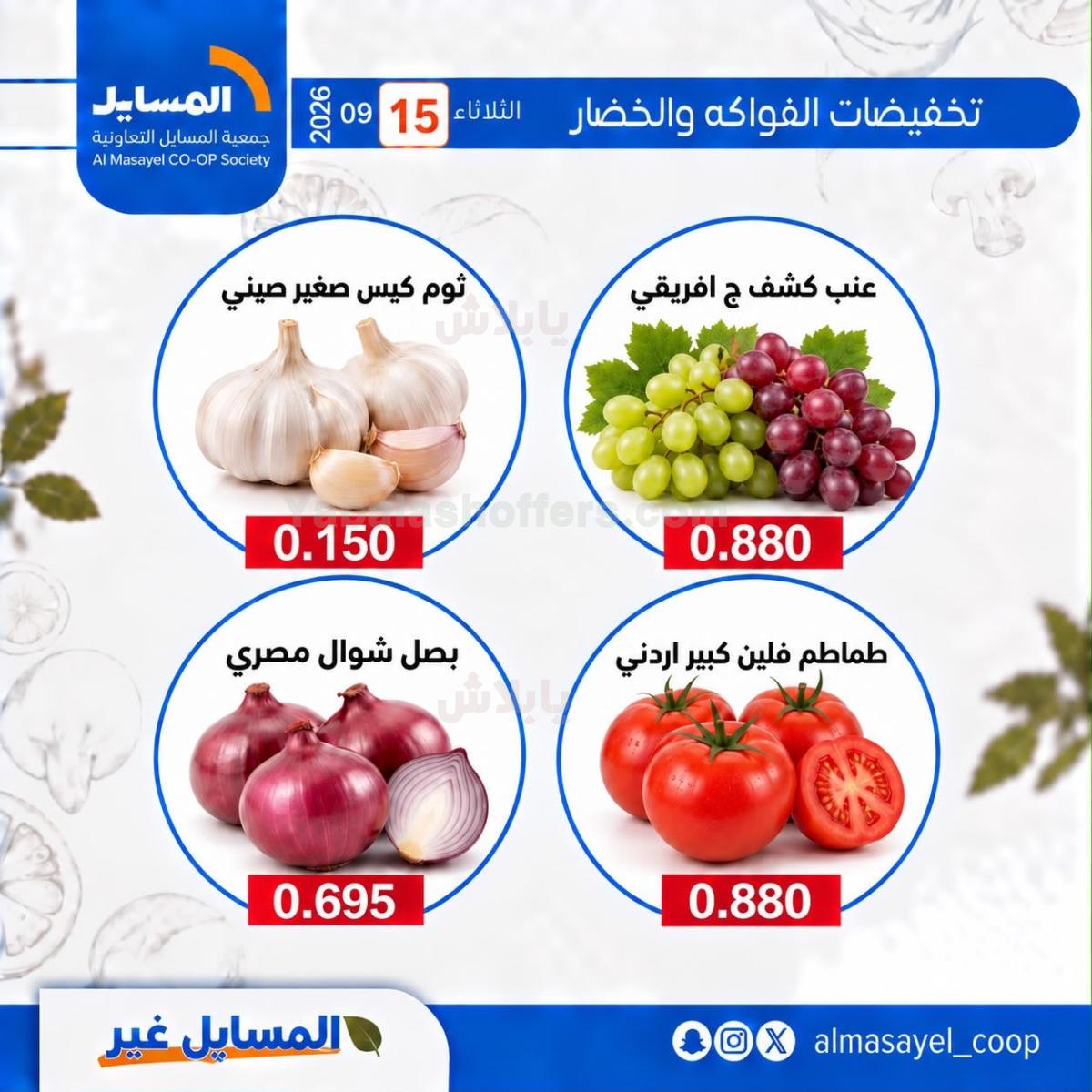 صفحة 3