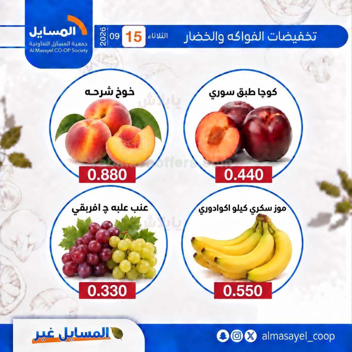 صفحة 6