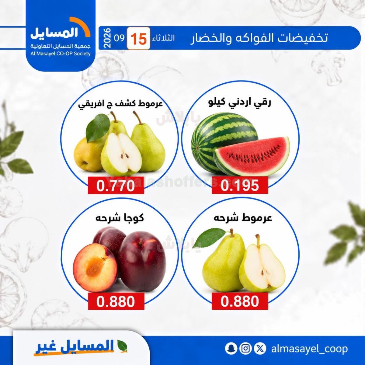 صفحة 7