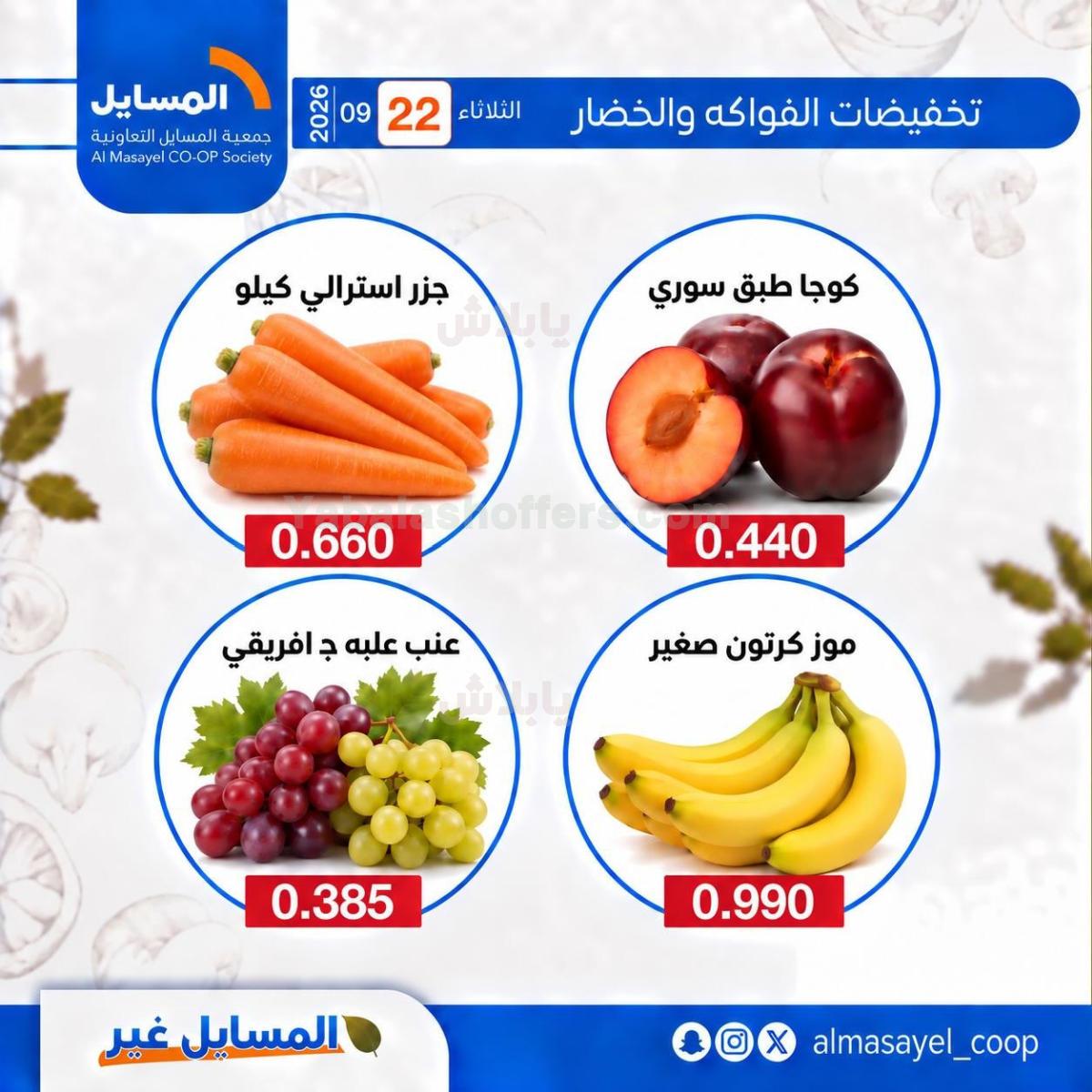 صفحة 3