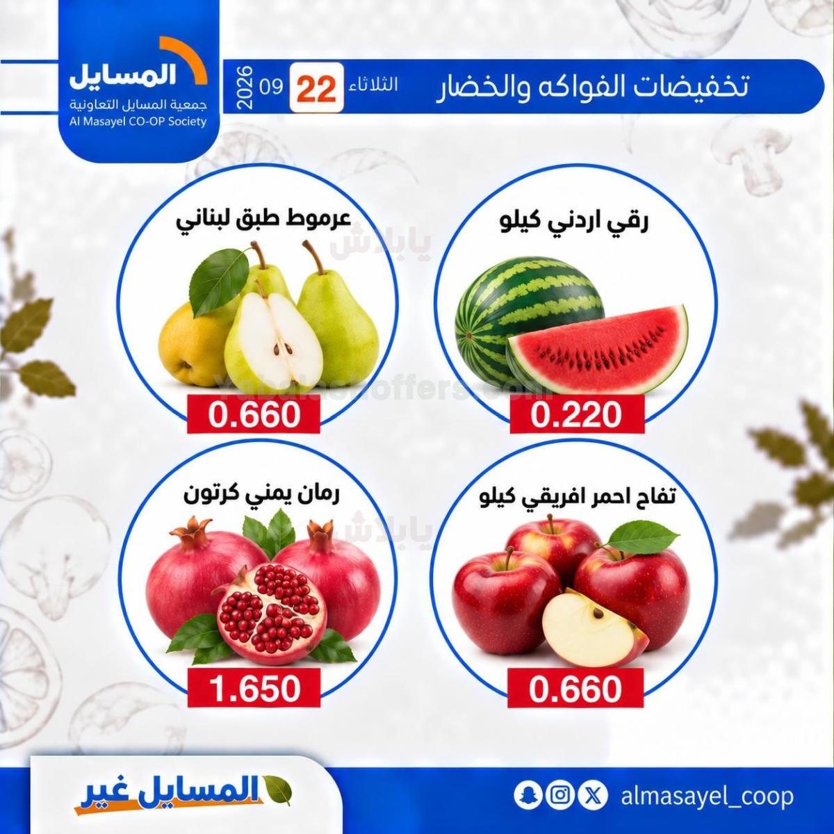 صفحة 4