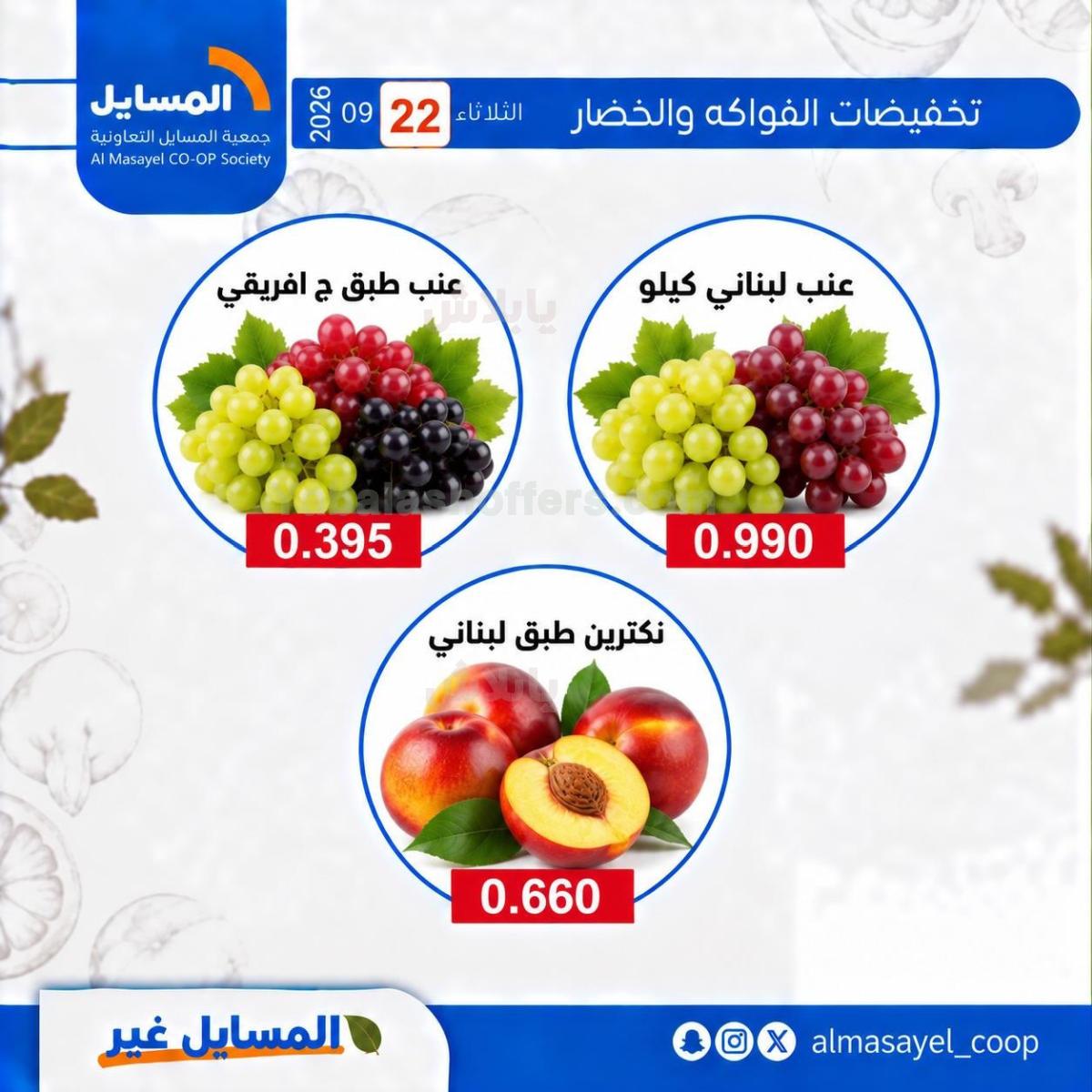 صفحة 7