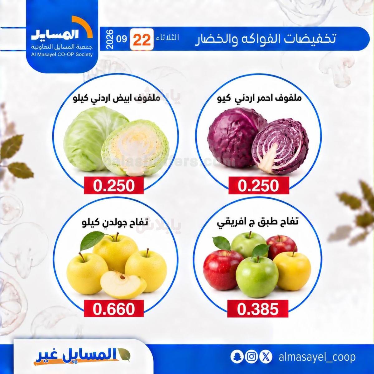 صفحة 11