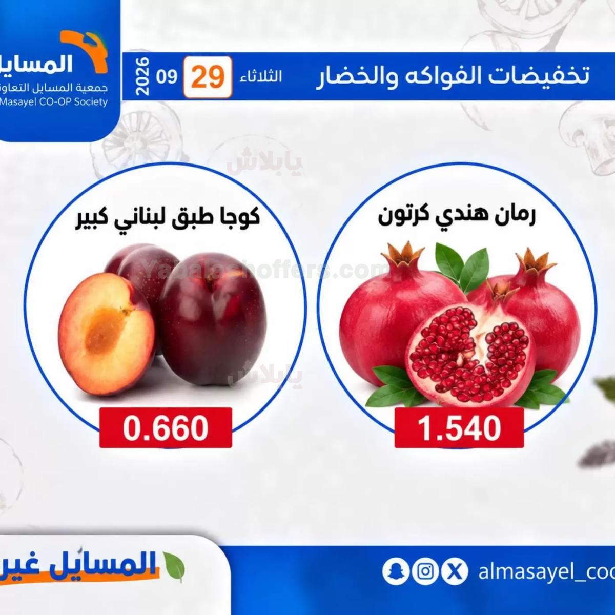 صفحة 6