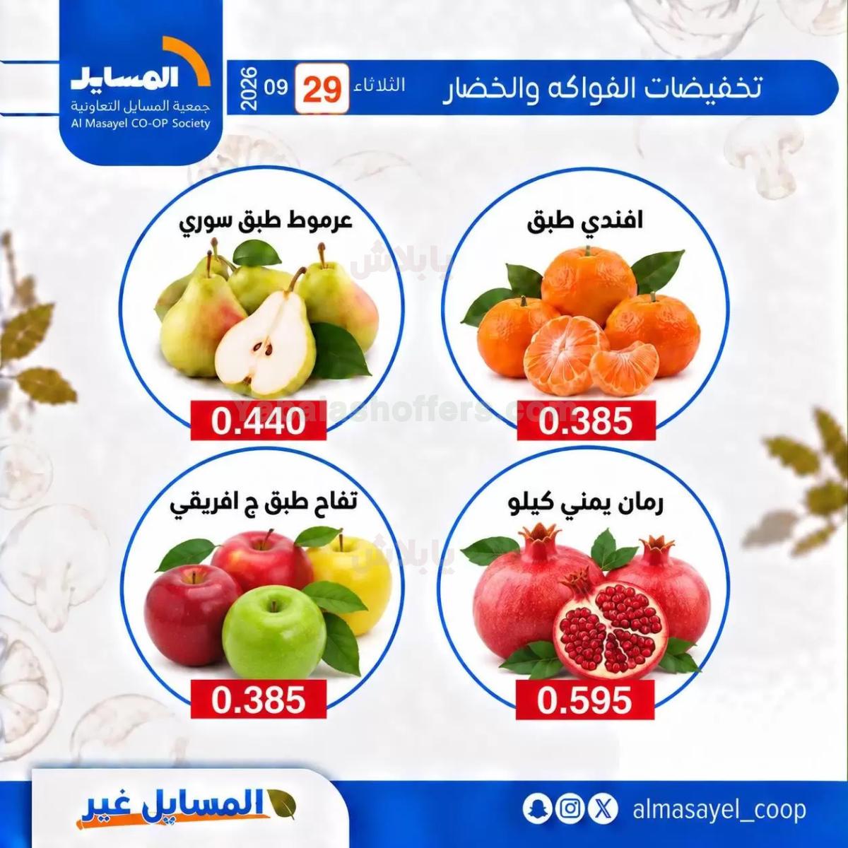صفحة 7