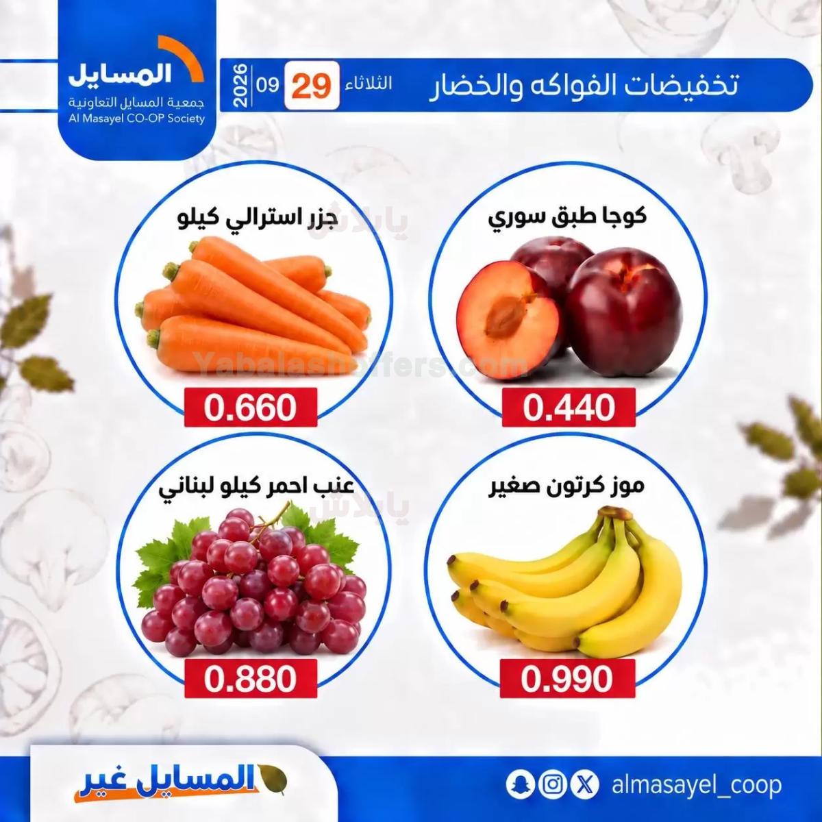 صفحة 11