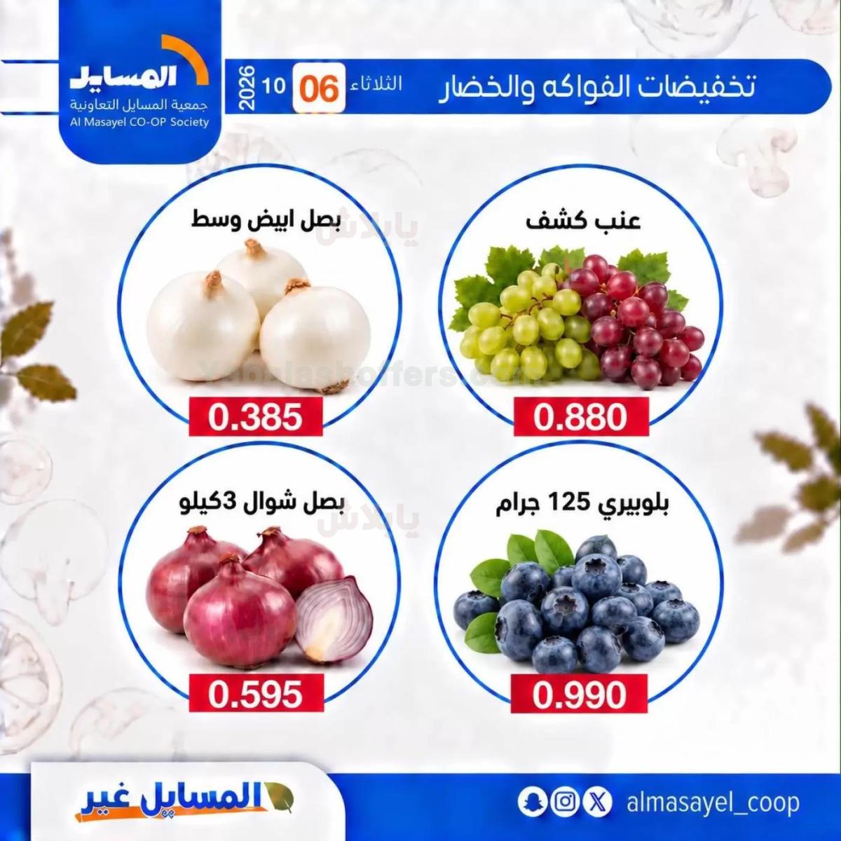 صفحة 3