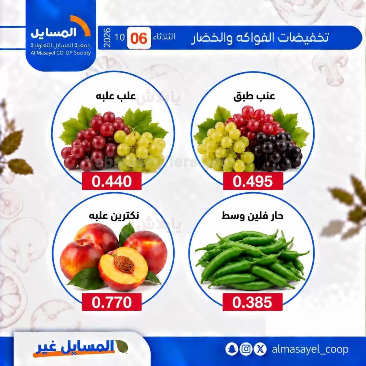 صفحة 10